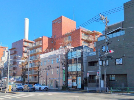 ���n�O�ώʐ^ �B�e��(2025-12-15 00:00:00)