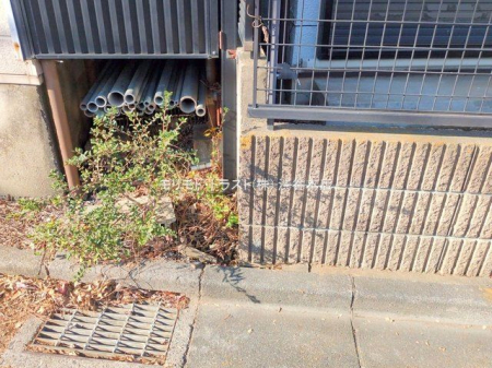 ���n�O�ώʐ^ �B�e��(2025-12-17 00:00:00)