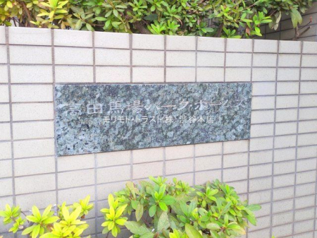 ���n�O�ώʐ^ �B�e��(2025-12-19 00:00:00)