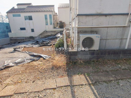 ���n�y�n�ʐ^ �B�e��(2026-01-15 00:00:00)