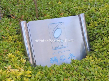 ���n�O�ώʐ^ �B�e��(2026-01-14 00:00:00)