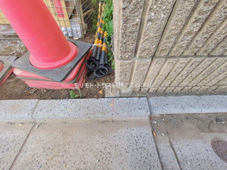 ���n�O�ώʐ^ �B�e��(2026-01-15 00:00:00)