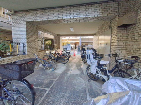 ���n�O�ώʐ^ �B�e��(2026-01-09 00:00:00)