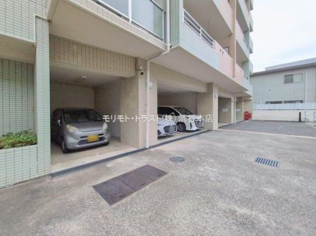 ���n�O�ώʐ^ �B�e��(2026-01-20 00:00:00)