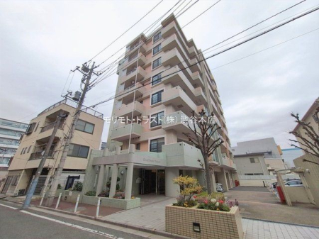 ���n�O�ώʐ^ �B�e��(2026-01-20)