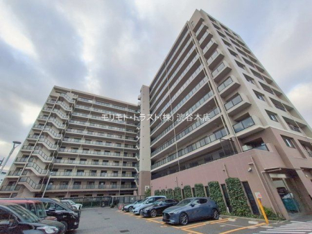 ���n�O�ώʐ^ �B�e��(2026-01-19 00:00:00)