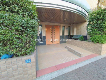 �G���g�����X �B�e��(2026-01-19)