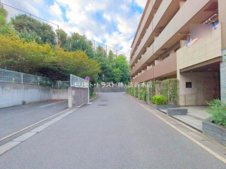 ���n�O�ώʐ^ �B�e��(2025-10-27 00:00:00)