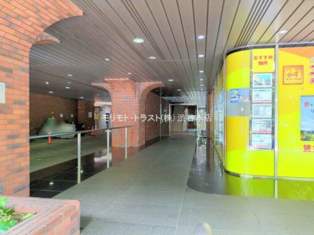 �G���g�����X �B�e��(2025-06-23)