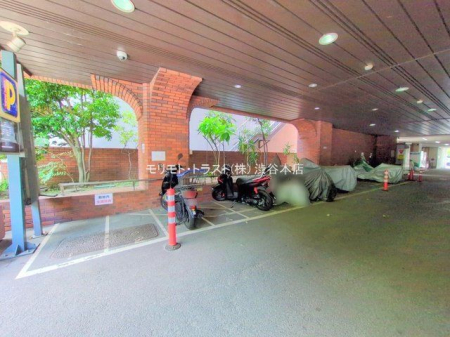 ���n�O�ώʐ^ �B�e��(2025-06-23 00:00:00)