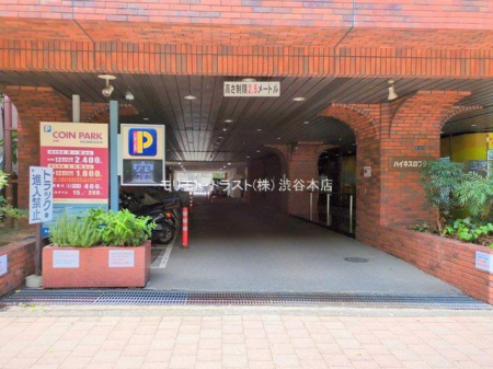 ���n�O�ώʐ^ �B�e��(2025-06-23 00:00:00)