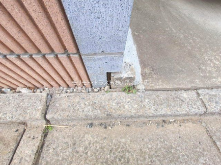 ���n�O�ώʐ^ �B�e��(2026-01-26 00:00:00)