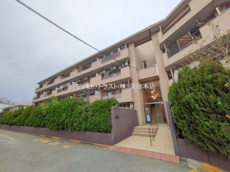 ���n�O�ώʐ^ �B�e��(2026-01-21 00:00:00)