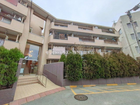 ���n�O�ώʐ^ �B�e��(2026-01-21 00:00:00)