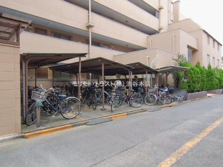 ���n�O�ώʐ^ �B�e��(2026-01-21 00:00:00)