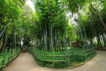 ���ӊ� �����߂̂��h�Βn���� �k��5���B 350m