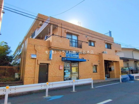 ���n�O�ώʐ^ �B�e��(2025-11-17)