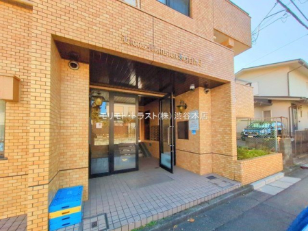 �G���g�����X �B�e��(2025-11-17)