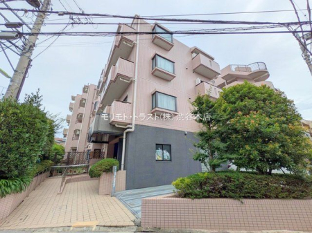 ���n�O�ώʐ^ �B�e��(2025-07-14 00:00:00)