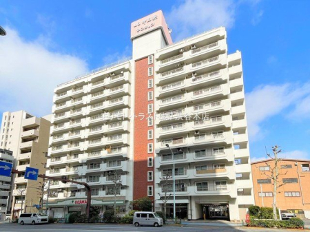 ���n�O�ώʐ^ �B�e��(2024-03-08 00:00:00)