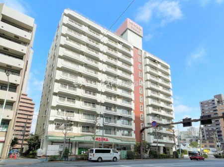 ���n�O�ώʐ^ �B�e��(2024-03-08 00:00:00)