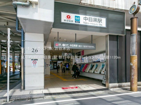 ���ӊ� �������g���u���ڍ��v�w �B�e��(2021-04-30) 1120m