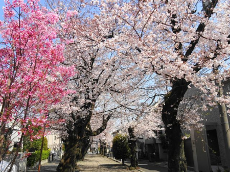 ���ӊ� �����Γ� �k��5���B 330m