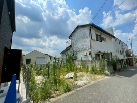 ���n�y�n�ʐ^ �y���n�z�i2026�N1���j�B�e