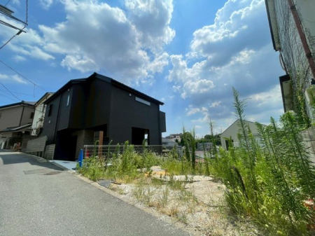 ���n�y�n�ʐ^ �y���n�z�i2026�N1���j�B�e