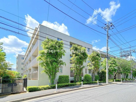 ���n�O�ώʐ^ �B�e��(2024-05-02)