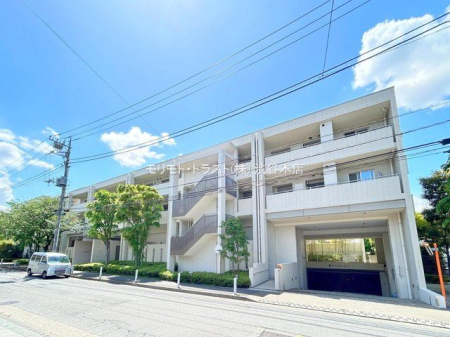 ���n�O�ώʐ^ �B�e��(2024-05-02)