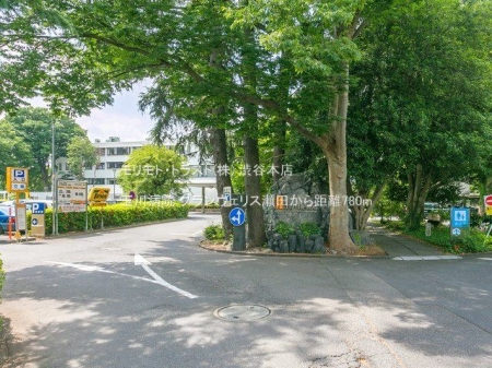 ���ӊ� �ʐ�a�@ �B�e��(2022-06-03) 780m