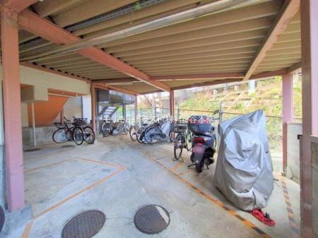 ���n�O�ώʐ^ �B�e��(2025-04-04 00:00:00)