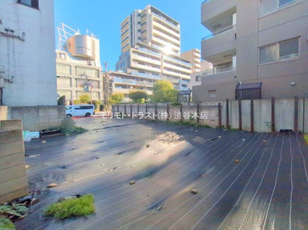 ���n�y�n�ʐ^ �B�e��(2025-11-21)