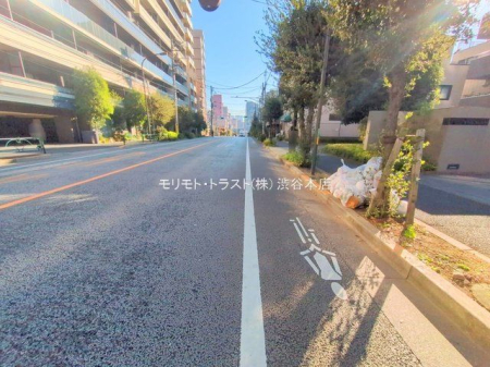 ���n�y�n�ʐ^ �B�e��(2025-11-21)