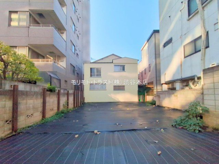 ���n�y�n�ʐ^ �B�e��(2025-11-21 00:00:00)