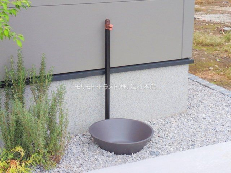 ���n�O�ώʐ^ �B�e��(2025-10-09 00:00:00)