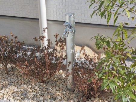 ���n�O�ώʐ^ �B�e��(2026-02-04 00:00:00)