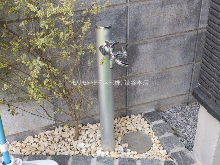 ���n�O�ώʐ^ �B�e��(2026-02-05 00:00:00)