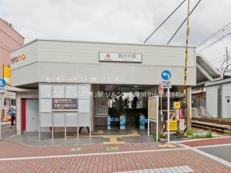 ���ӊ� ���}�d�S�u�L�̖؁v�w �B�e��(2021-04-02) 640m