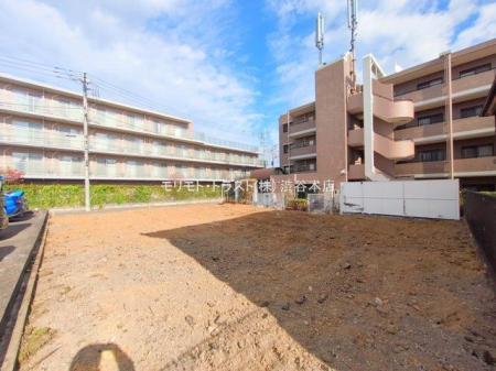 ���n�y�n�ʐ^ �B�e��(2025-11-18 00:00:00)