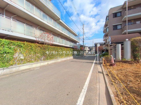 ���n�y�n�ʐ^ �B�e��(2025-11-18 00:00:00)