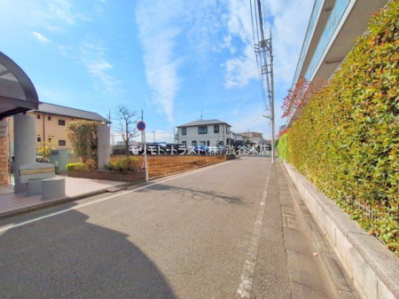 ���n�y�n�ʐ^ �B�e��(2025-11-18)