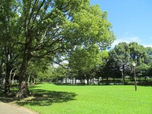 ���ӊ� �������ݗΒn �k��9���B 700m