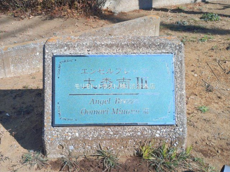 ���n�O�ώʐ^ �B�e��(2026-02-09 00:00:00)