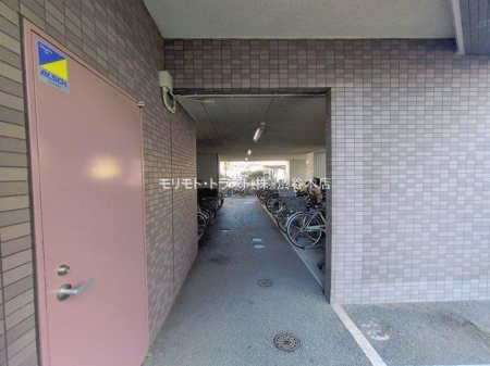 ���n�O�ώʐ^ �B�e��(2026-02-09 00:00:00)