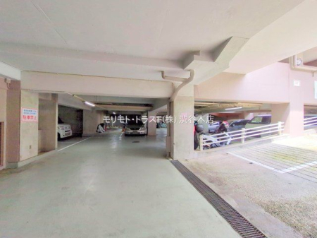 ���n�O�ώʐ^ �B�e��(2025-05-14 00:00:00)