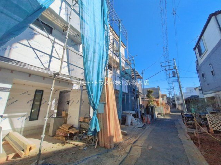 ���n�O�ώʐ^ �B�e��(2026-02-03 00:00:00)