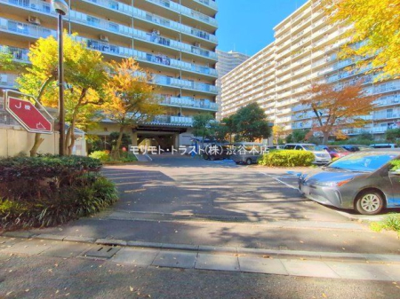 �G���g�����X �B�e��(2024-12-02 00:00:00)