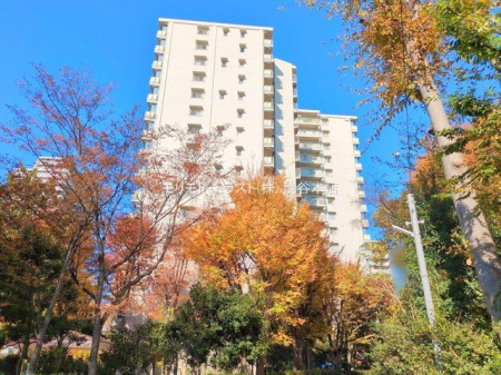 ���n�O�ώʐ^ �B�e��(2024-12-02 00:00:00)